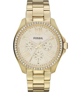 Fossil Cecile AM4482